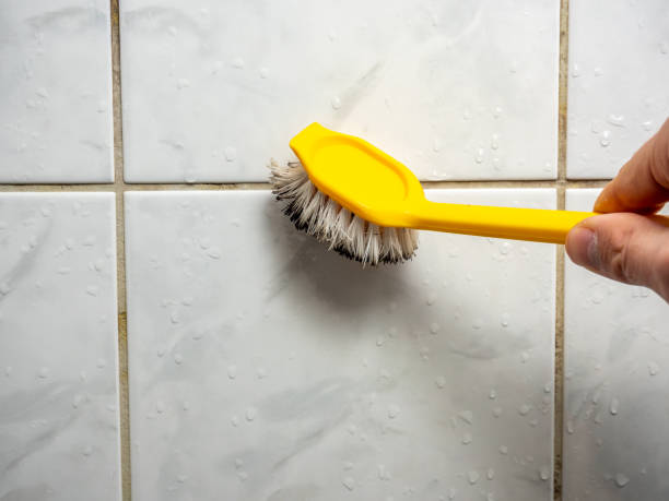 Best Best Mold Removal Companies  in Grabill, IN