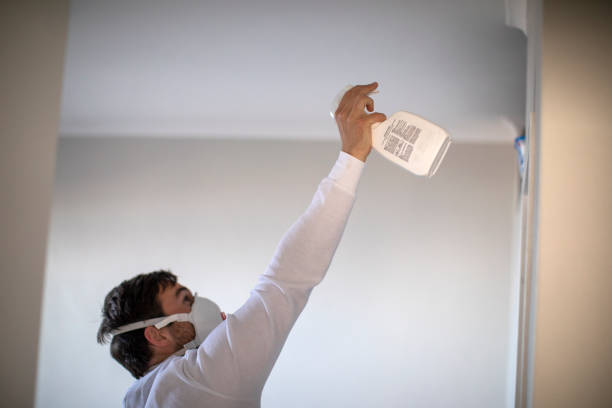 Best Black Mold Removal  in Grabill, IN